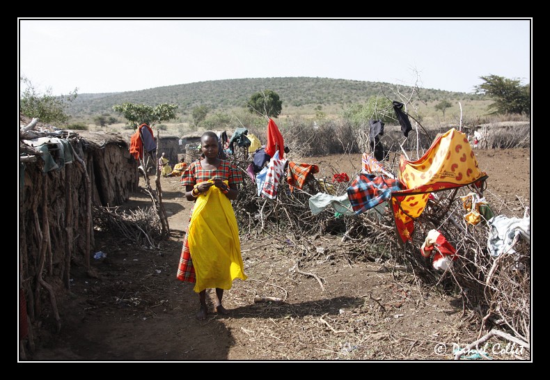 Partout sur les branchages, des vêtements et tissus colorés sont tendus